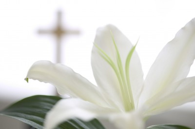 Easter Lily and Cross
