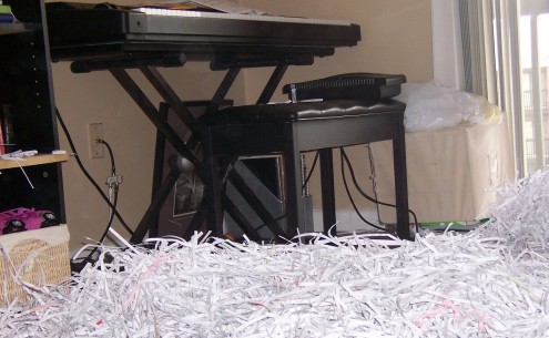 Shredded Paper Mess